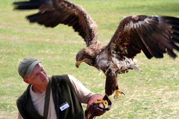 Killikus&reg; Fotographie